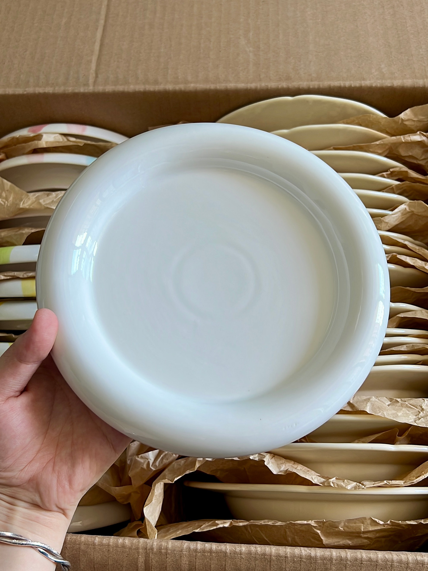 Nordic Thick Rim Ceramic Plate - Minimalist White Tableware