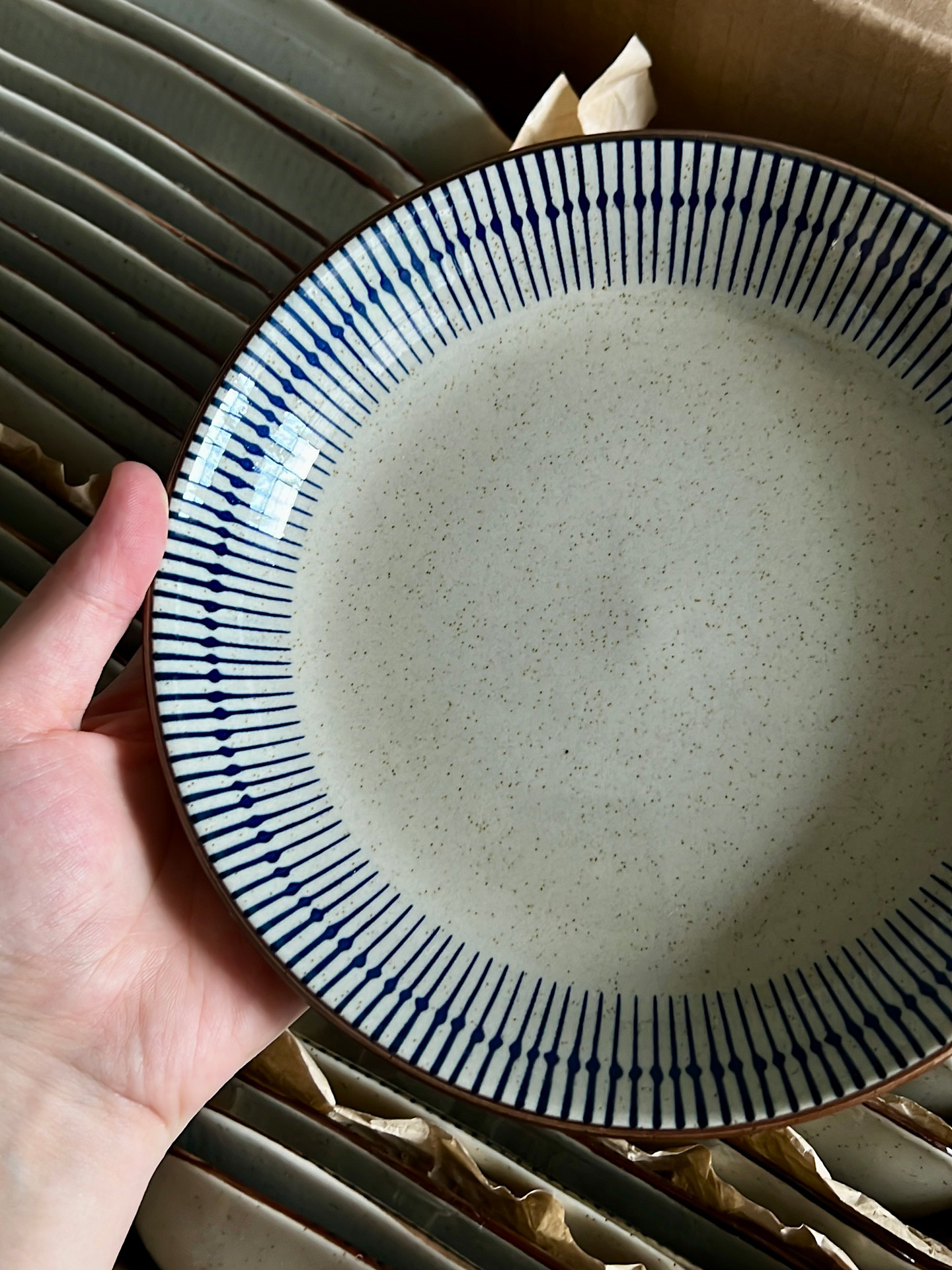 Japanese Style Blue Striped Ceramic Plate - Vintage Tableware